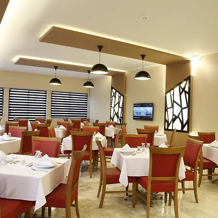 Otel Fayton